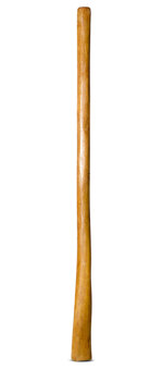 Gloss Finish Didgeridoo (TW1155)